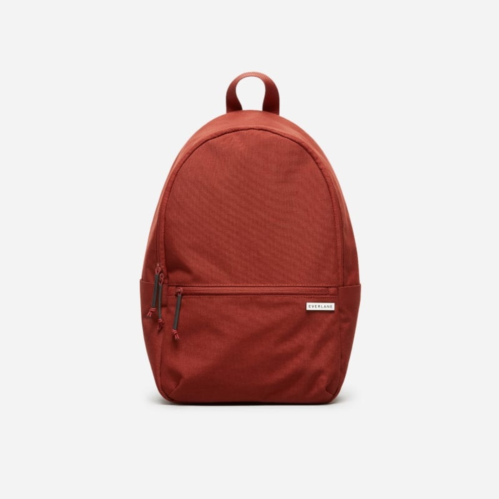 Everlane street nylon backpack small
